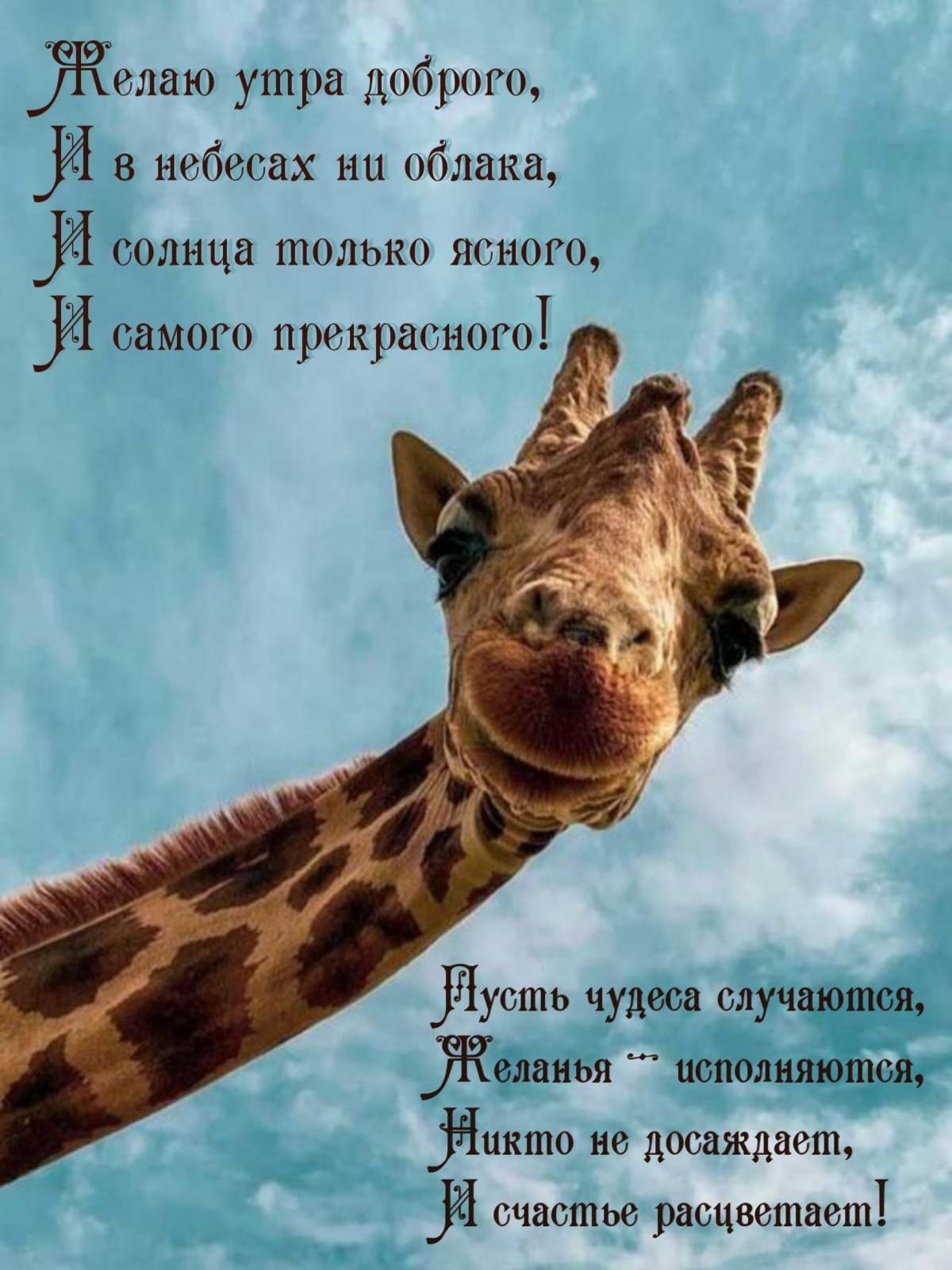 Желаю утра доброго! Стихотворение