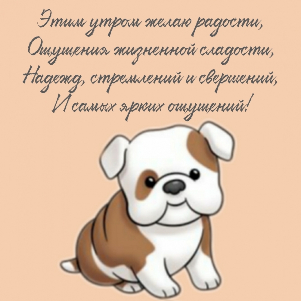 Этим утром желаю радости!