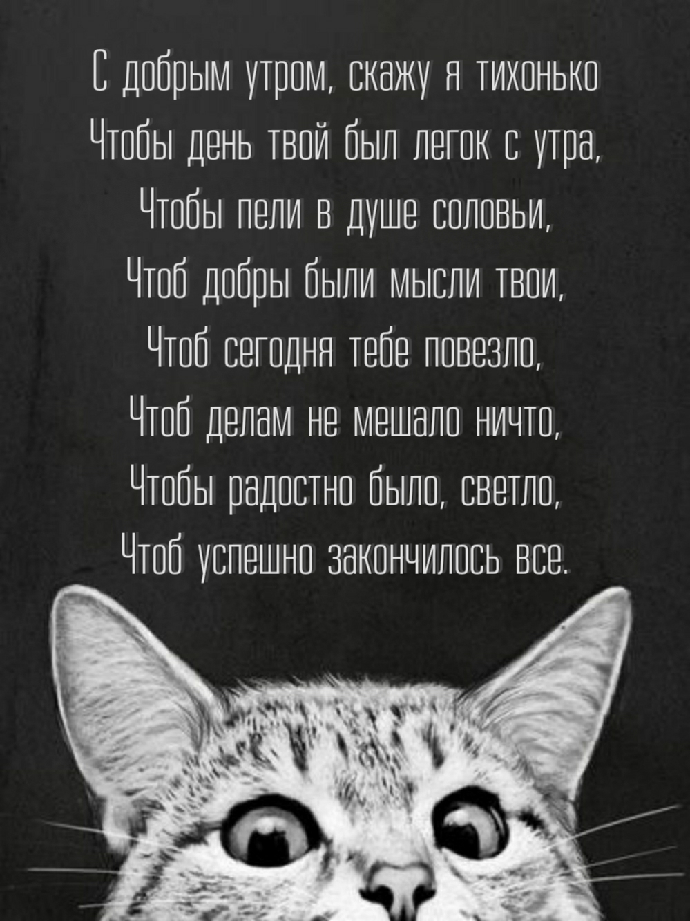 С добрым утром, скажу я тихонько
