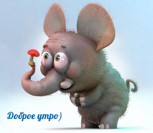 Доброе утро)