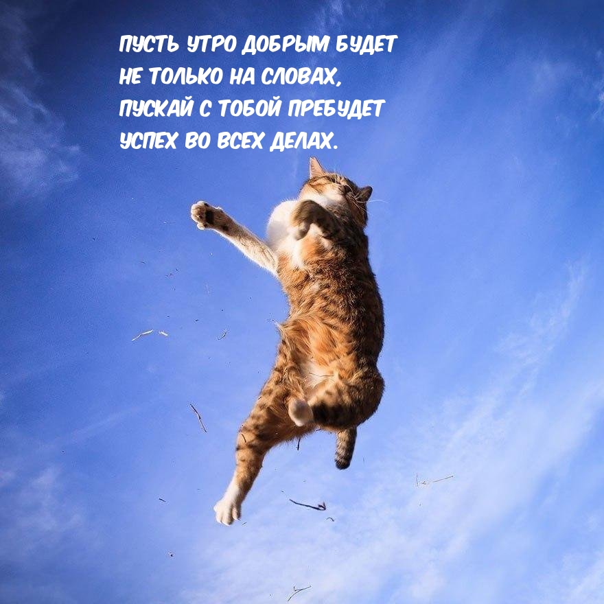 Пусть утро добрым будет не только на словах