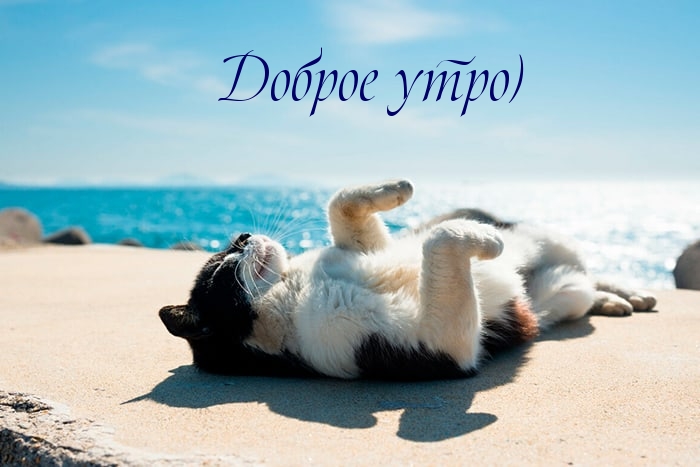 Доброе утро)