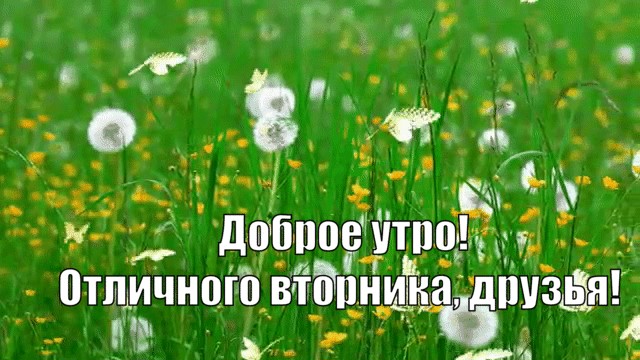 Отличного вторника, друзья. Доброе утро!