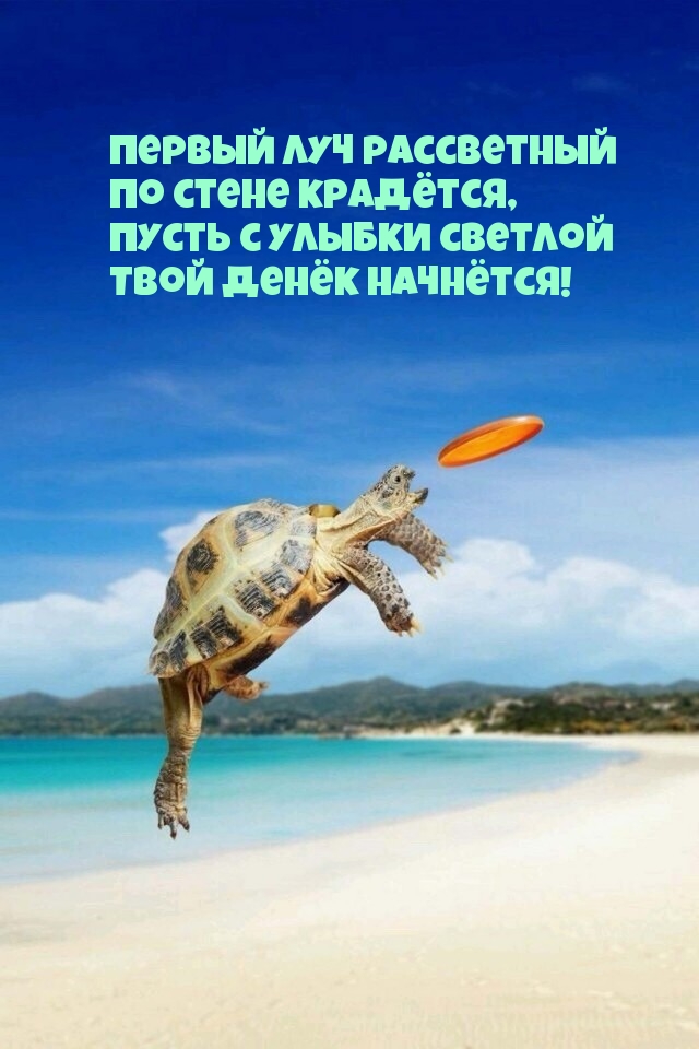 Первый луч рассветный По стене крадётся