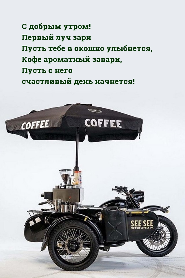 С добрым утром! Первый луч зари