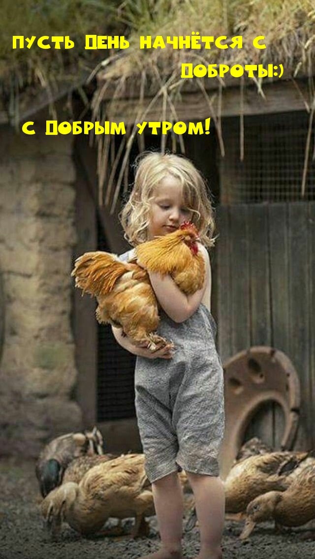 Пусть день начнётся с ДОБРОТЫ:)