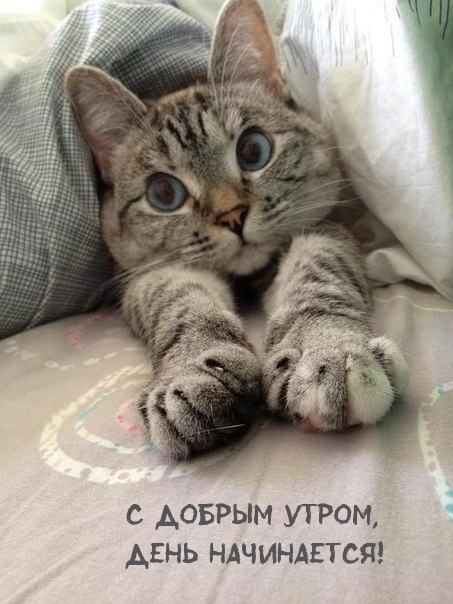 С добрым утром, день начинается!