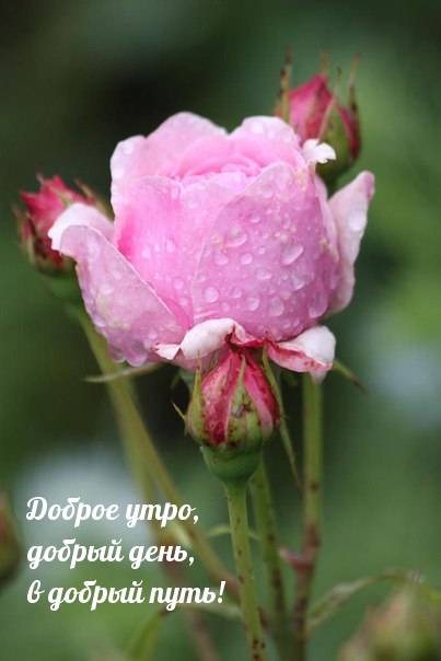 Доброе утро, добрый день, в добрый путь!