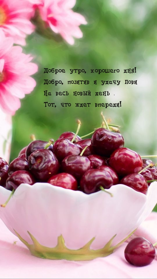 Доброе утро, хорошего дня!