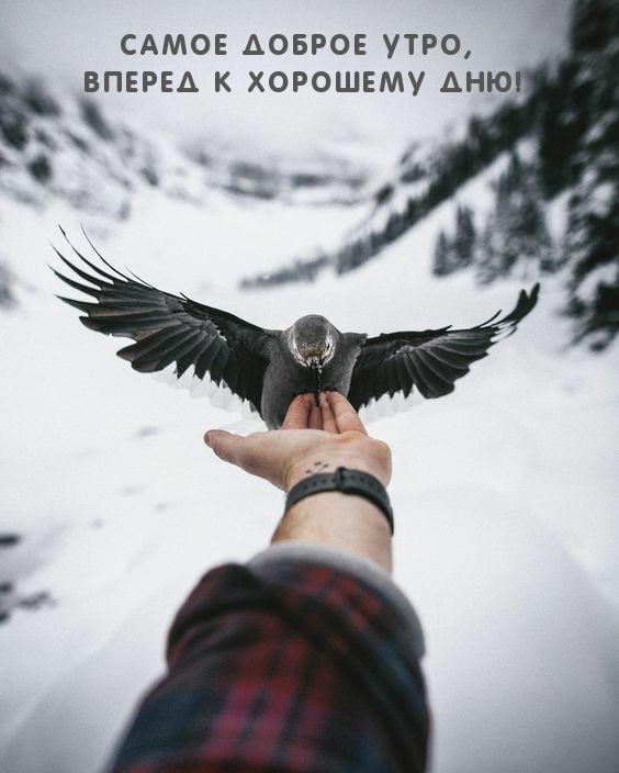 Самое доброе утро, вперед к хорошему дню!