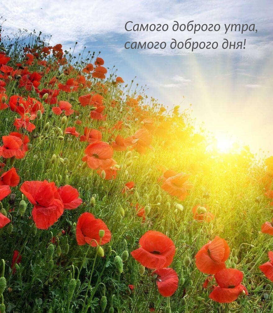 Самого доброго утра, самого доброго дня!