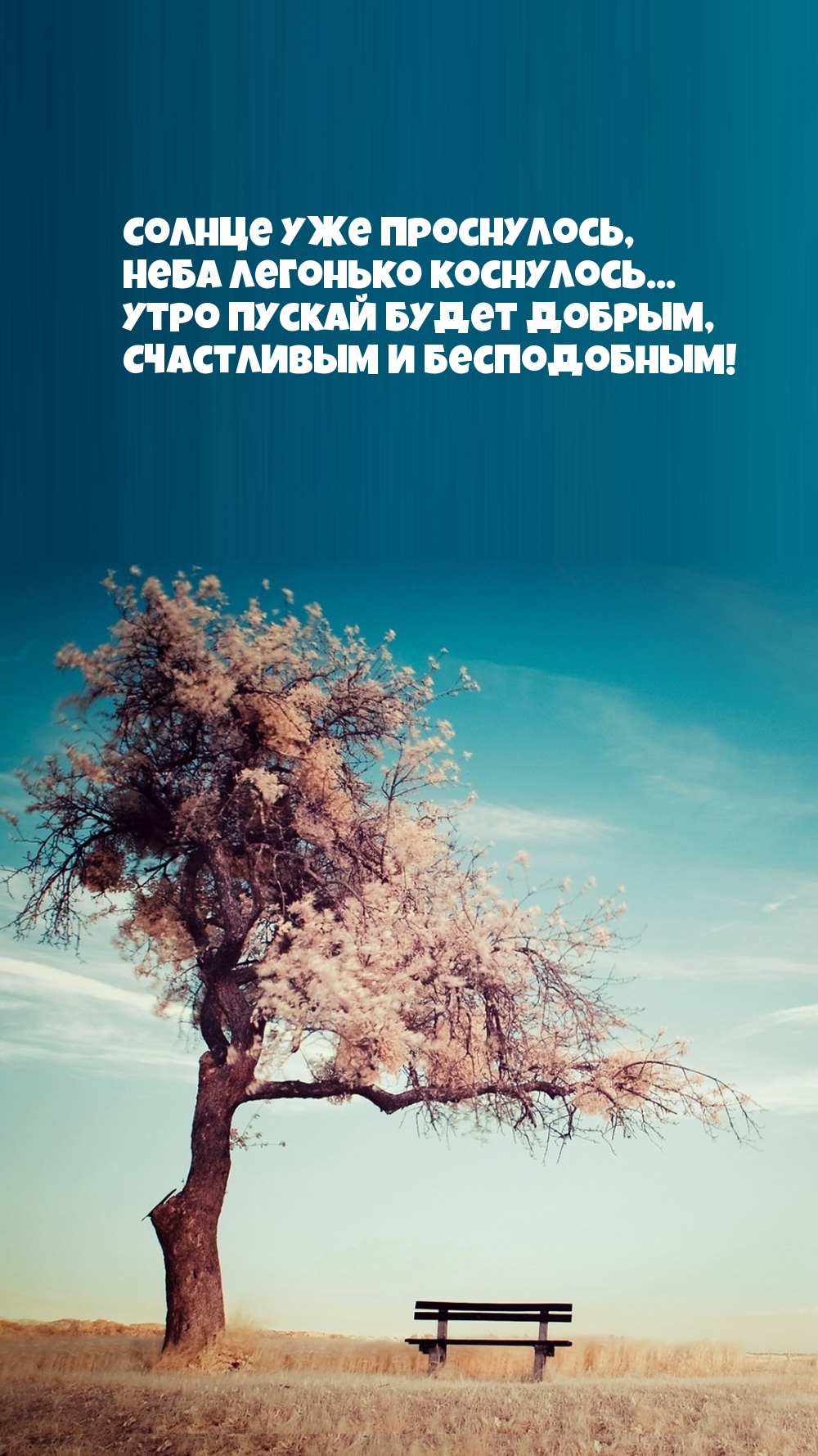 Солнце уже проснулось,  Утро пускай будет добрым