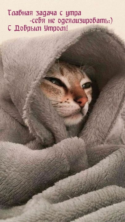 Главная задача с утра -себя не одеялизировать:)