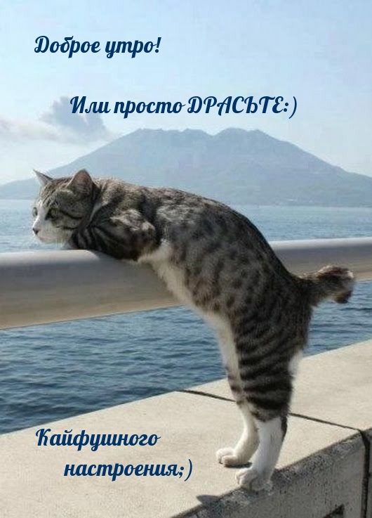 Доброе утро! Или просто ДРАСЬТЕ:)