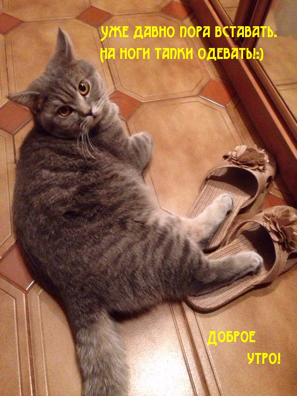 Уже давно пора вставать. На ноги тапки одевать!:)