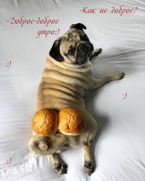 -Как не доброе? -Доброе-доброе