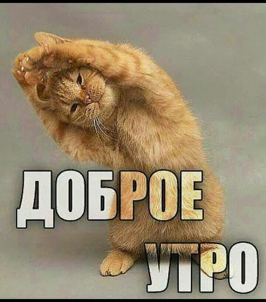Доброе утро!