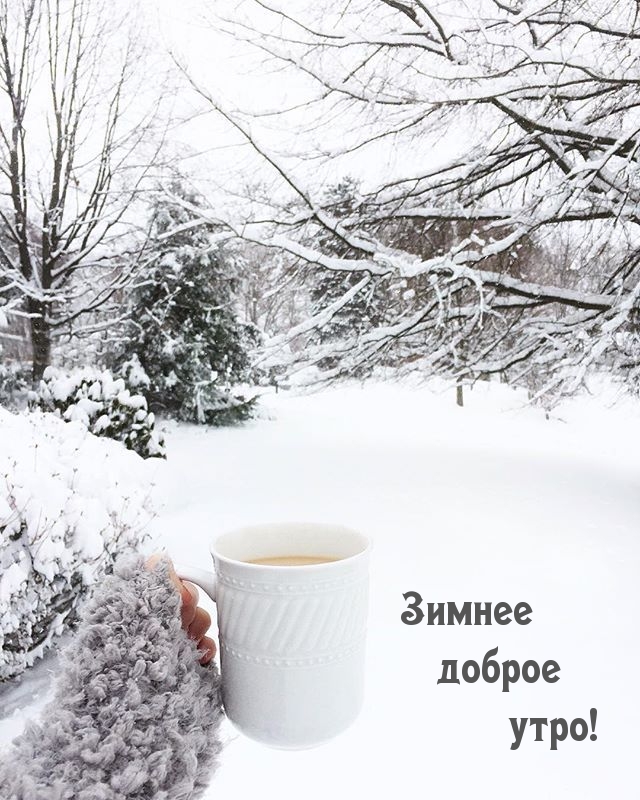 Зимнее доброе утро!