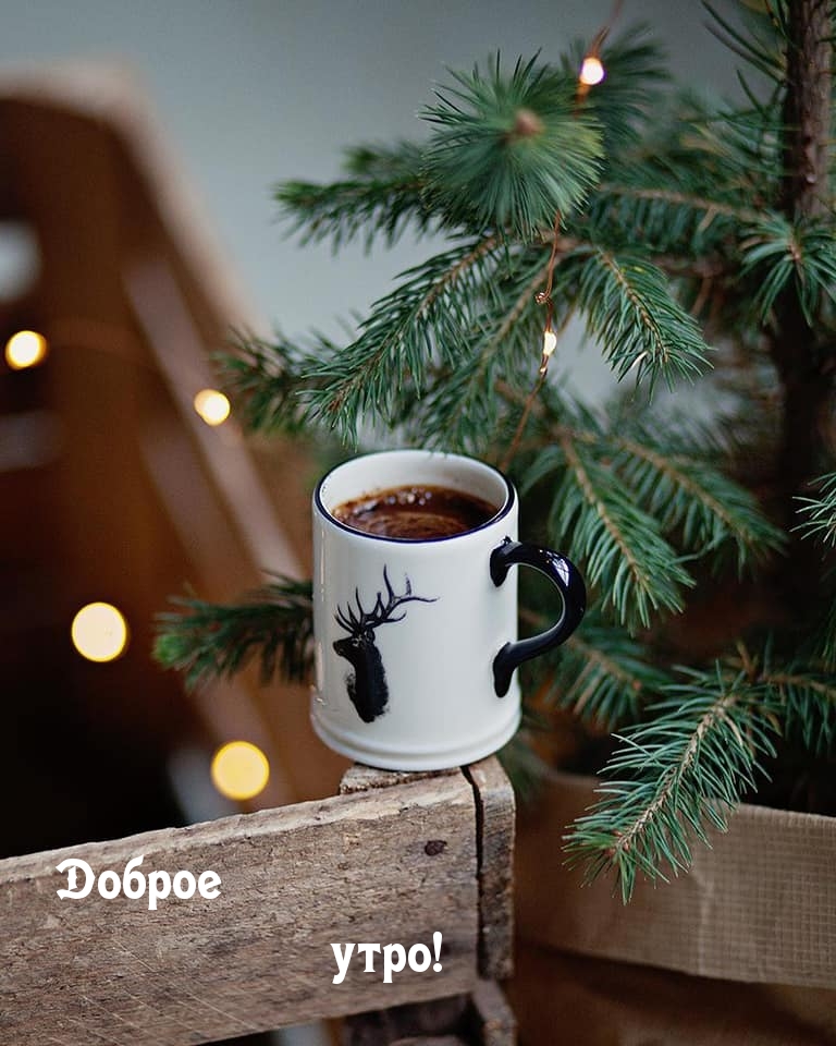 Доброе утро!