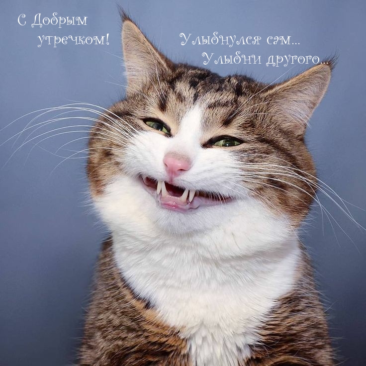 С Добрым утречком! Улыбнулся сам…