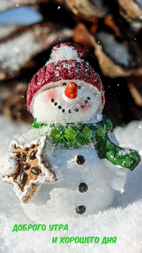 ДОБРОГО УТРА и ХОРОШЕГО ДНЯ