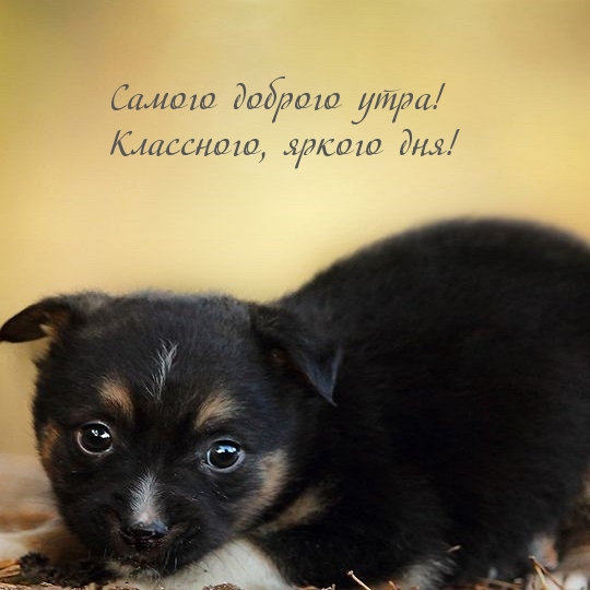Самого доброго утра! Классного, яркого дня!