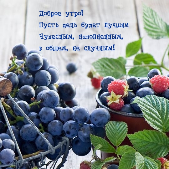 Доброе утро! Пусть день будет лучшим