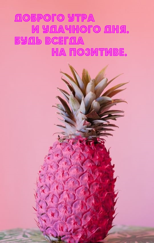 ДОБРОГО УТРА и удачного дня