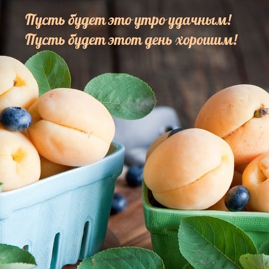 Пусть будет это утро удачным! А этот день хорошим!