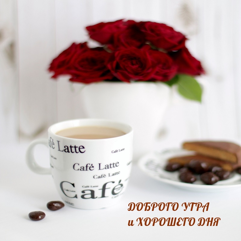ДОБРОГО УТРА и ХОРОШЕГО ДНЯ