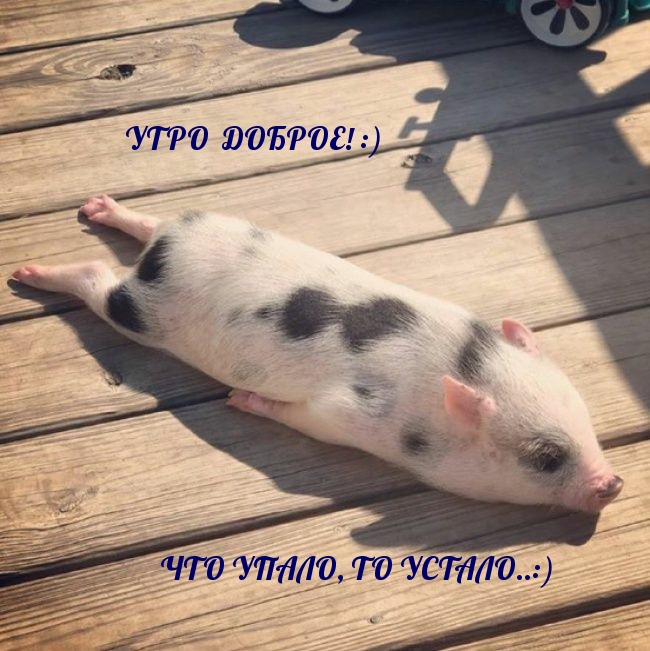 ЧТО УПАЛО, ТО УСТАЛО..:)