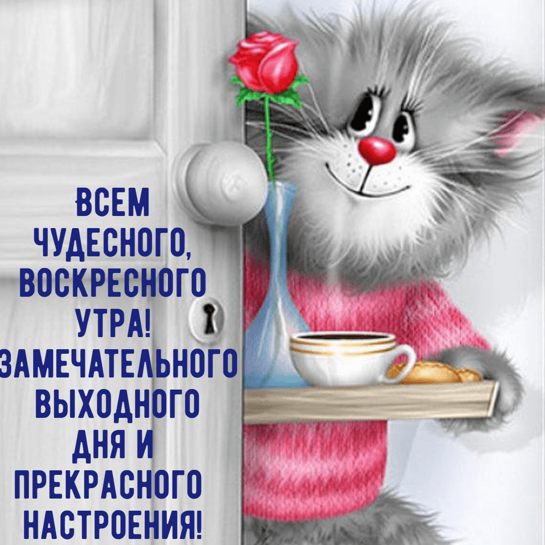 Всем чудесного воскресного утра!