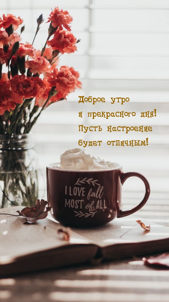 Доброе утро  и прекрасного дня!