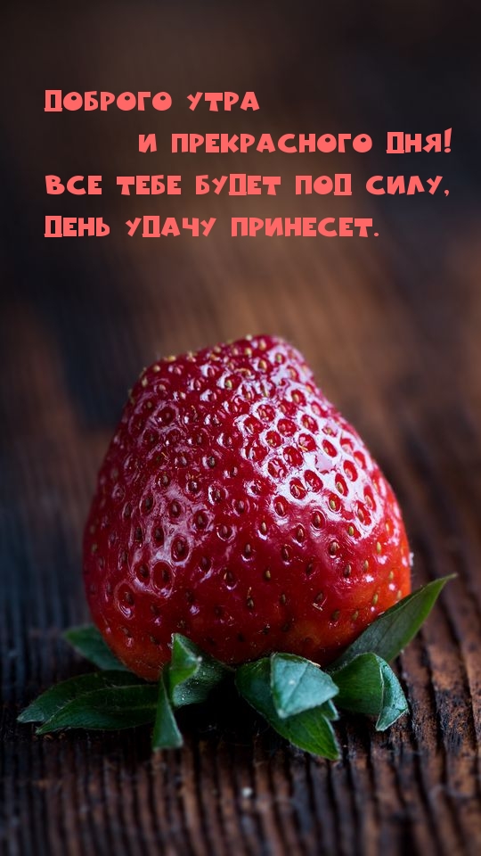 Доброго утра и прекрасного дня!