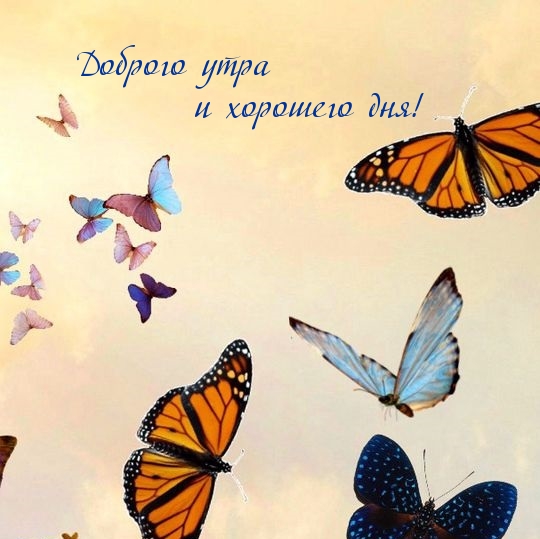 Доброго утра и хорошего дня!