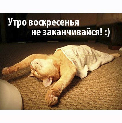Утро воскресенья не заканчивайся!