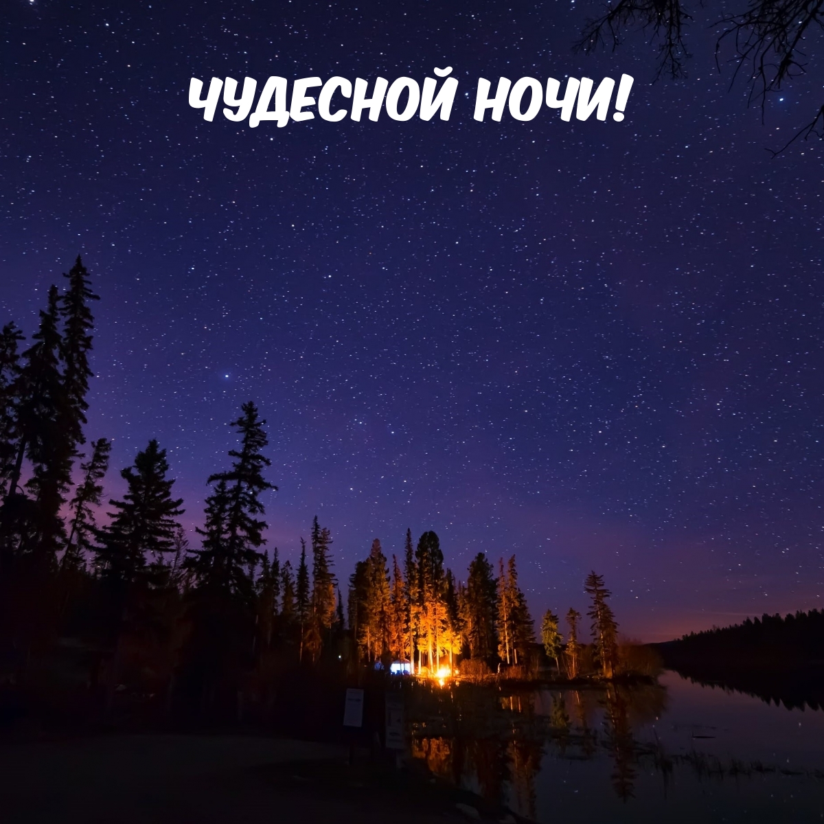 Чудесной Ночи!