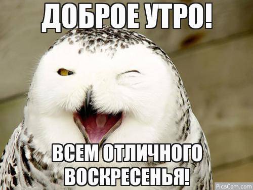 Доброе утро! Всем отличного воскресенья!