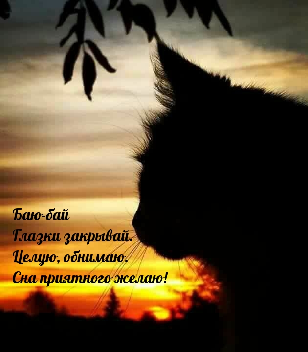 Баю-бай! Глазки закрывай. Целую, обнимаю