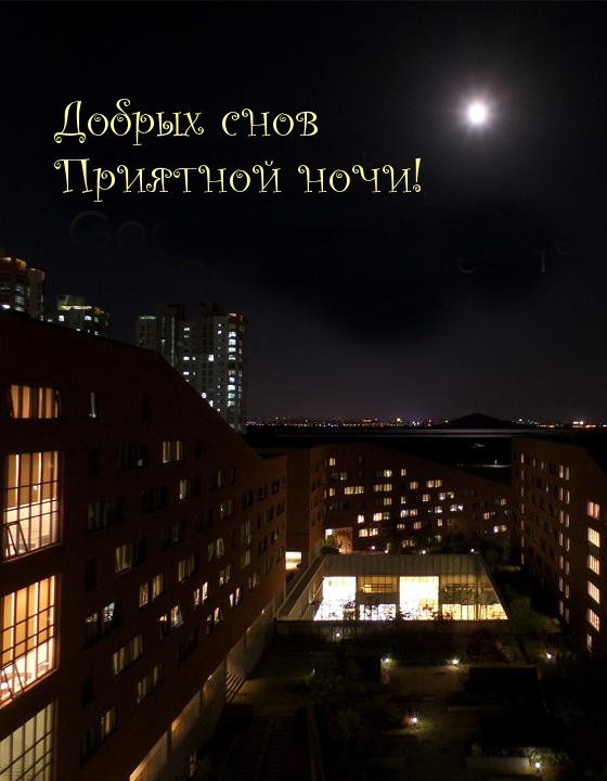 Добрых снов! Приятной ночи!