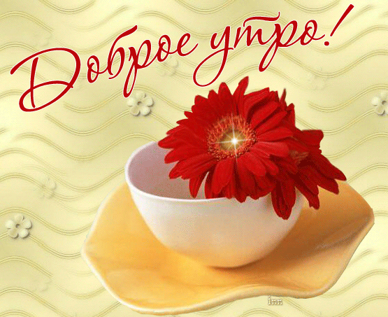 Доброе утро!