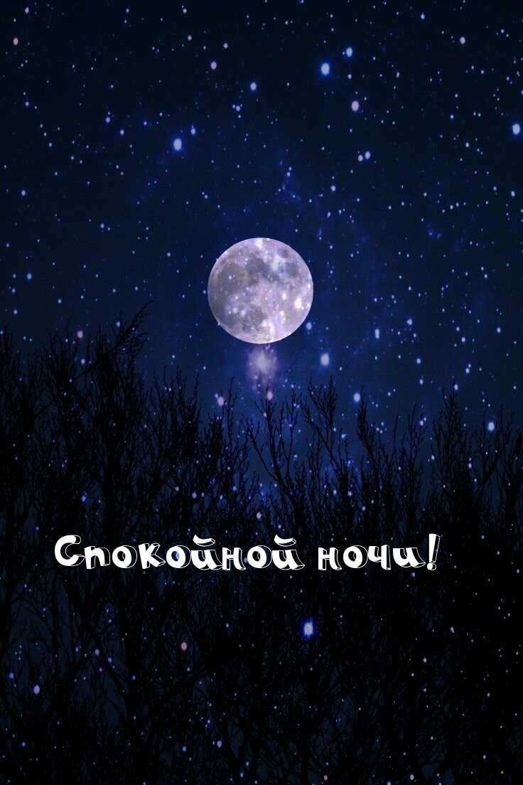 Спокойной ночи!