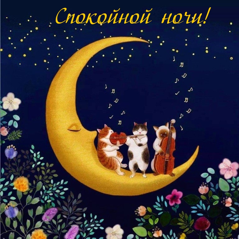 Спокойной ночи!