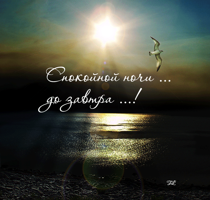 Спокойной ночи! До завтра!