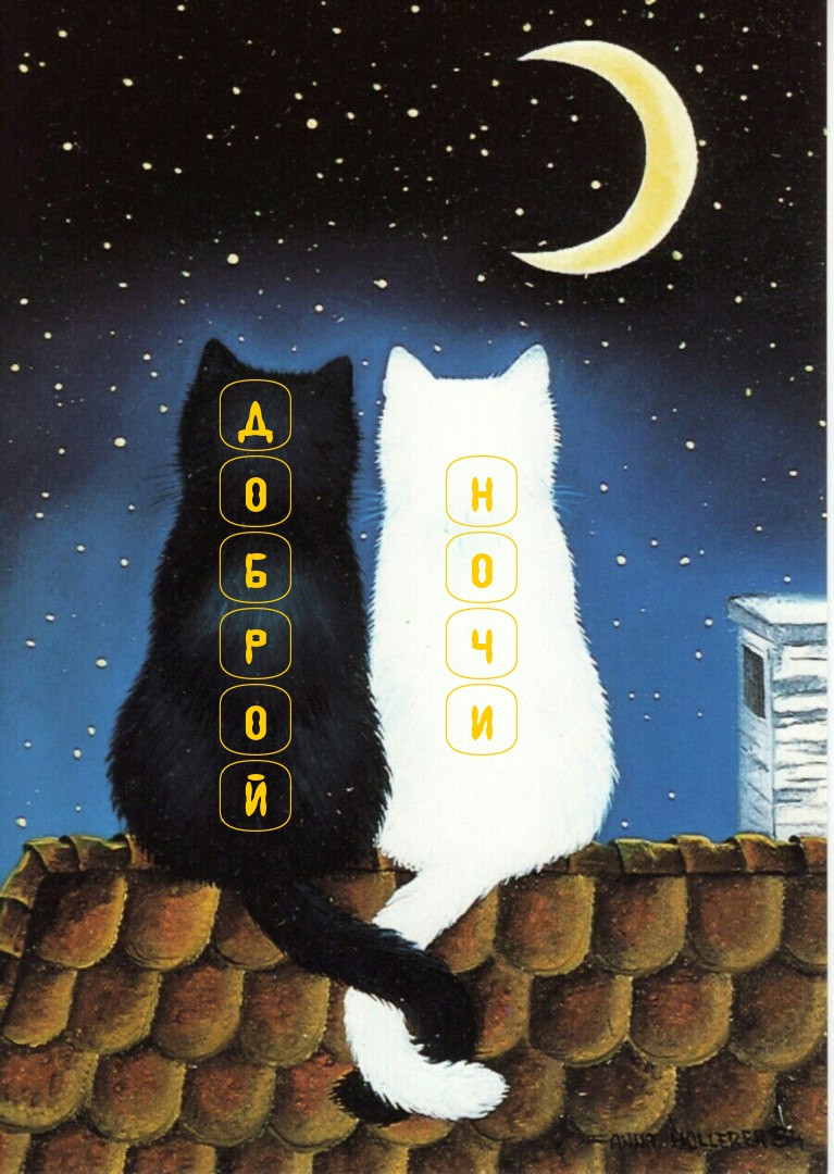 Д о Н б о р ч о и й