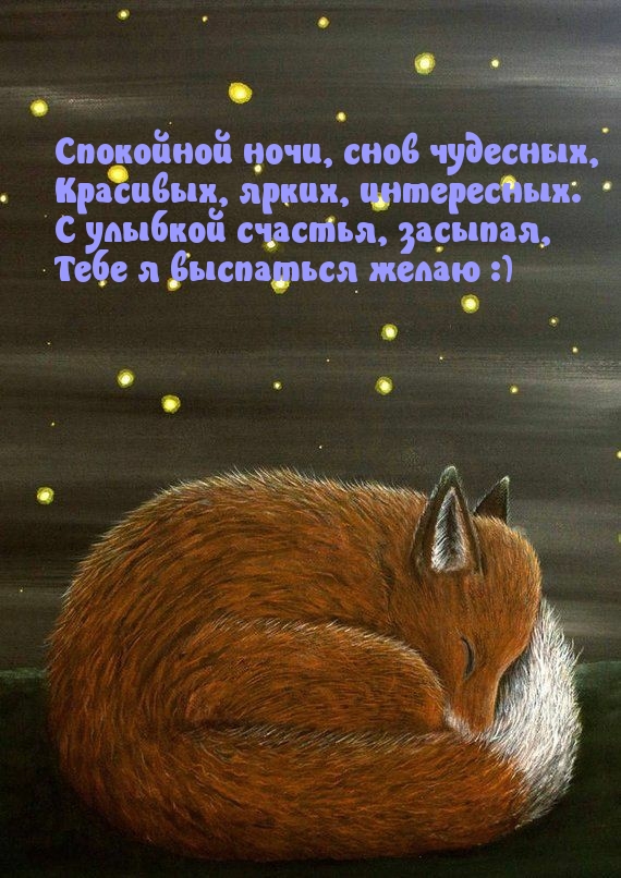 Спокойной ночи, снов чудесных