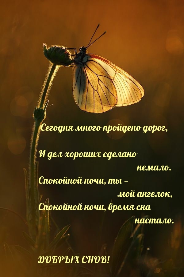 Спокойной ночи, время сна настало.