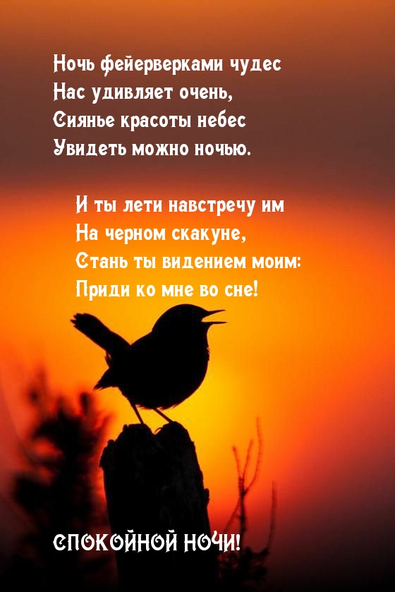 СПОКОЙНОЙ НОЧИ! Приди ко мне во сне!