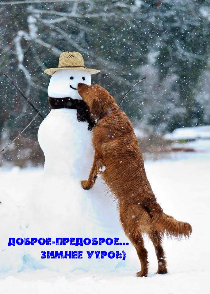 Доброе-предоброе… Зимнее утро!:)