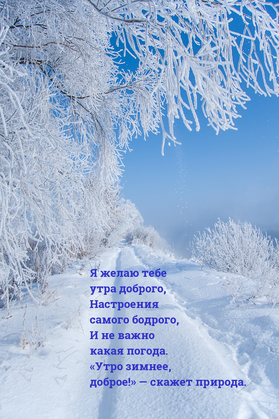 «Утро зимнее, доброе!» — скажет природа.